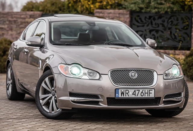 jaguar